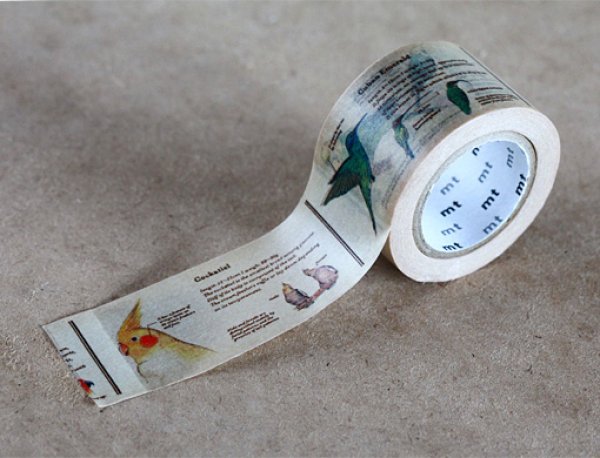 画像3: mt-ex　図鑑・鳥 (3)