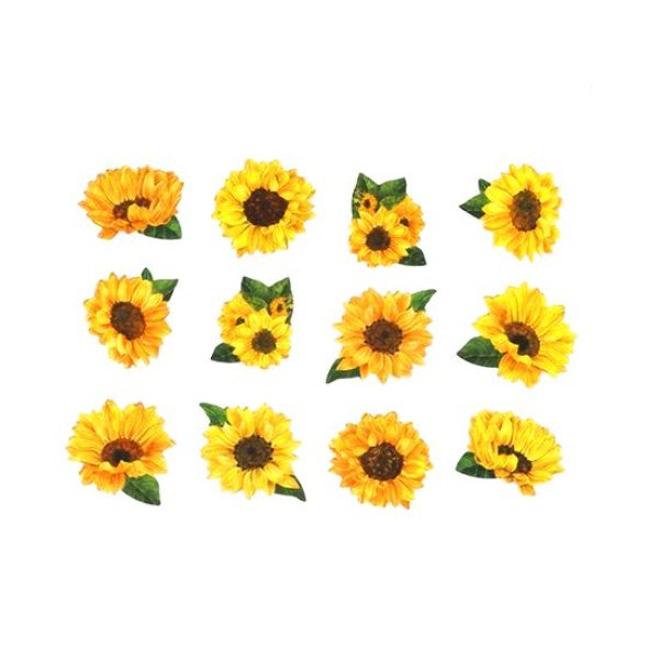 画像2: bande／ひまわり ミニ (2)