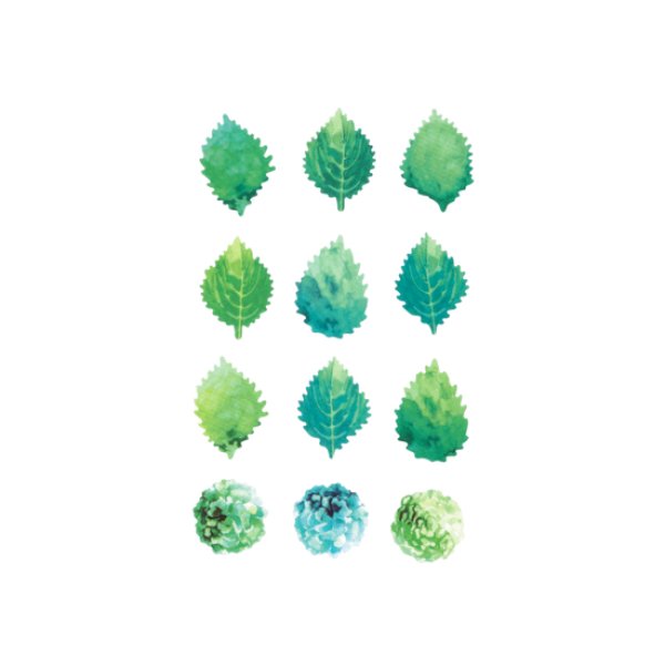 画像2: bande／グリーンリーフ（A)　 (2)