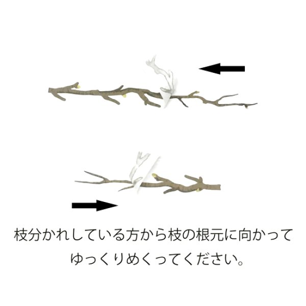 画像5: bande／マステアートキット　ソメイヨシノ (5)